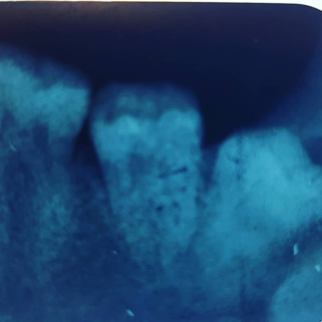 Rasheed Dental Surgery Gallery 7